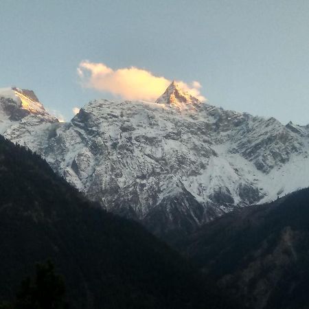 Wanderers Homestay -All Mountain Facing Rooms Kalpa Exteriér fotografie